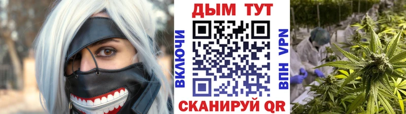 наркотики Гвардейск Конопля конопля